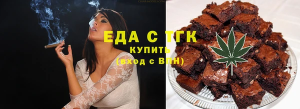 СК Снежногорск