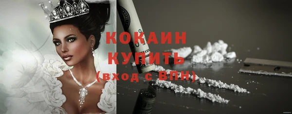 СК Снежногорск
