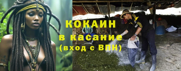 СК Снежногорск