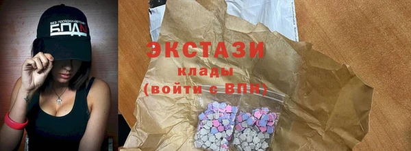СК Снежногорск