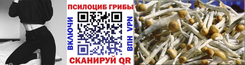 Псилоцибиновые грибы мухоморы  Безенчук 