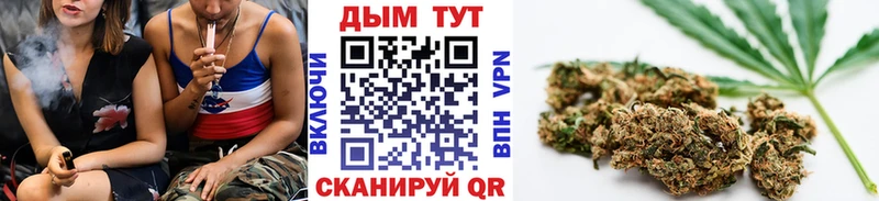 Бошки Шишки гибрид Безенчук