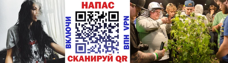 где продают   Безенчук  Канабис семена 